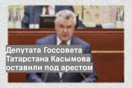 Депутата Госсовета Татарстана Касымова оставили под арестом