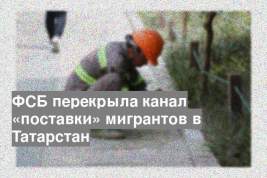 ФСБ перекрыла канал «поставки» мигрантов в Татарстан