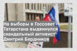 На выборы в Госсовет Татарстана выдвинулся скандальный активист Дмитрий Бердников