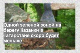Одной зеленой зоной на берегу Казанки в Татарстане скоро будет меньше