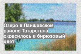 Озеро в Лаишевском районе Татарстана окрасилось в бирюзовый цвет