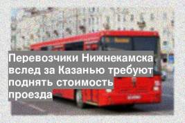 Перевозчики Нижнекамска вслед за Казанью требуют поднять стоимость проезда