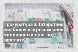 Прокуратура в Татарстане «выбила» у агрокомпании миллионный долг по зарплате