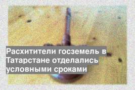 Расхитители госземель в Татарстане отделались условными сроками