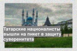 Татарские националисты вышли на пикет в защиту суверенитета