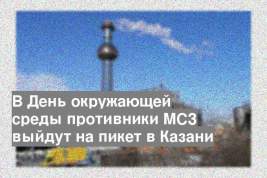 В День окружающей среды противники МСЗ выйдут на пикет в Казани