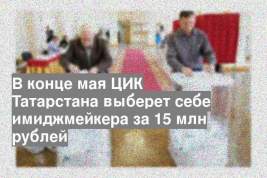 В конце мая ЦИК Татарстана выберет себе имиджмейкера за 15 млн рублей