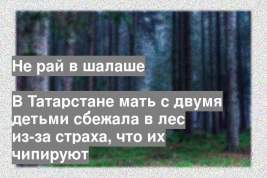 В Татарстане мать с двумя детьми сбежала в лес из-за страха, что их чипируют