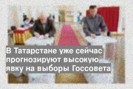 В Татарстане уже сейчас прогнозируют высокую явку на выборы Госсовета