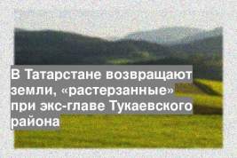 В Татарстане возвращают земли, «растерзанные» при экс-главе Тукаевского района