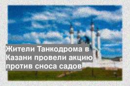 Жители Танкодрома в Казани провели акцию против сноса садов