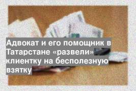 Адвокат и его помощник в Татарстане «развели» клиентку на бесполезную взятку
