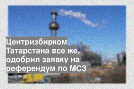 Центризбирком Татарстана все же одобрил заявку на референдум по МСЗ