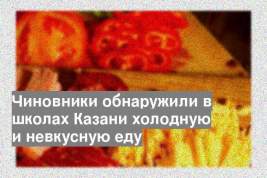 Чиновники обнаружили в школах Казани холодную и невкусную еду