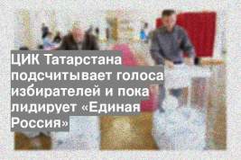 ЦИК Татарстана подсчитывает голоса избирателей и пока лидирует «Единая Россия»
