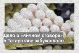 Дело о «яичном сговоре» в Татарстане забуксовало
