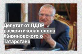 Депутат от ЛДПР раскритиковал слова Жириновского о Татарстане