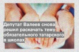 Депутат Валеев снова решил раскачать тему обязательного татарского в школах