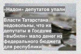 Власти Татарстана недовольны, что их депутаты в Госдуме «выбили» мало денег из федерального бюджета для республики