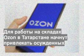 Для работы на складах Ozon в Татарстане начнут привлекать осужденных