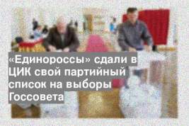 «Единороссы» сдали в ЦИК свой партийный список на выборы Госсовета