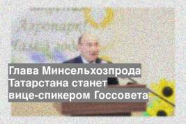Глава Минсельхозпрода Татарстана станет вице-спикером Госсовета