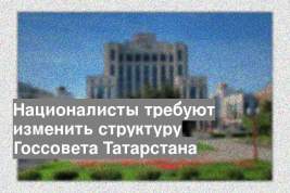 Националисты требуют изменить структуру Госсовета Татарстана