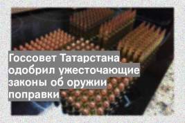 Госсовет Татарстана одобрил ужесточающие законы об оружии поправки