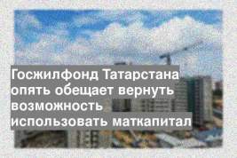 Госжилфонд Татарстана опять обещает вернуть возможность использовать маткапитал