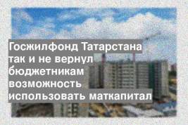 Госжилфонд Татарстана так и не вернул бюджетникам возможность использовать маткапитал