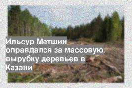 Ильсур Метшин оправдался за массовую вырубку деревьев в Казани