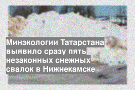 Минэкологии Татарстана выявило сразу пять незаконных снежных свалок в Нижнекамске