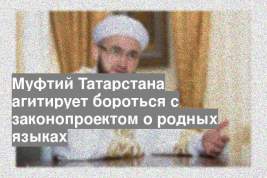 Муфтий Татарстана агитирует бороться с законопроектом о родных языках