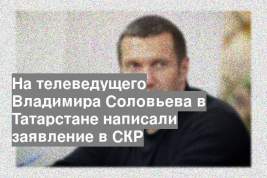 На телеведущего Владимира Соловьева в Татарстане написали заявление в СКР