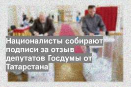 Националисты собирают подписи за отзыв депутатов Госдумы от Татарстана