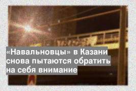 «Навальновцы» в Казани снова пытаются обратить на себя внимание