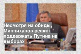 Несмотря на обиды, Минниханов решил поддержать Путина на выборах