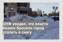 ОНФ увидел, что власти Казани бросили город утопать в снегу