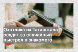 Охотника из Татарстана осудят за случайный выстрел в знакомого