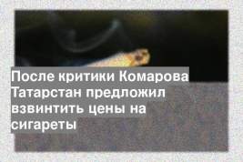 После критики Комарова Татарстан предложил взвинтить цены на сигареты