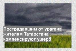 Пострадавшим от урагана жителям Татарстана компенсируют ущерб