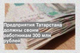 Предприятия Татарстана должны своим работникам 300 млн рублей