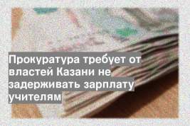 Прокуратура требует от властей Казани не задерживать зарплату учителям