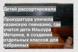 Прокуратура уличила казанскую гимназию, где учатся дети Ильсура Метшина, в создании отдельных классов для избранных