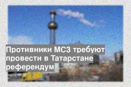 Противники МСЗ требуют провести в Татарстане референдум