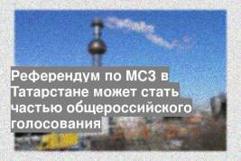 Референдум по МСЗ в Татарстане может стать частью общероссийского голосования