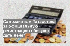 Самозанятым Татарстана за официальную регистрацию обещают дать денег