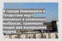 В городе Нижнекамск в Татарстане ищут виновных в зловонных выбросах, травивших людей два воскресения подряд