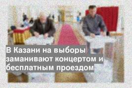 В Казани на выборы заманивают концертом и бесплатным проездом