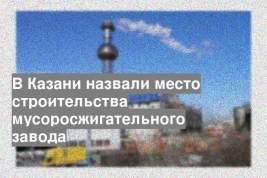 В Казани назвали место строительства мусоросжигательного завода
